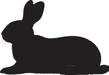 Flemish Giant Rabbit side view vector silhouette on white background