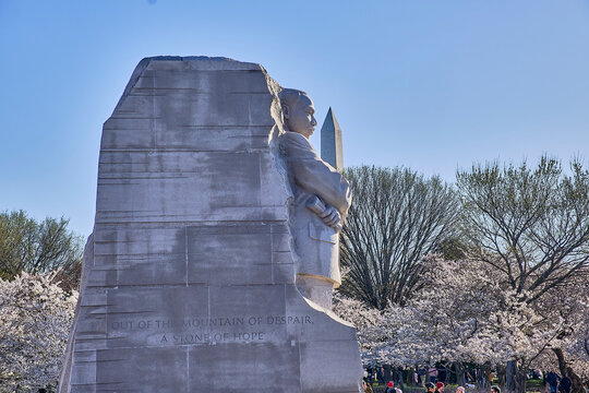 The MLK monument during cherry blossom season 