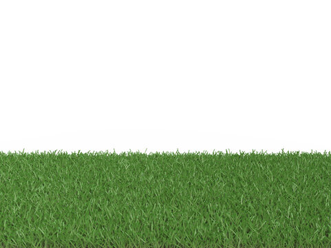 Fototapeta pasto png