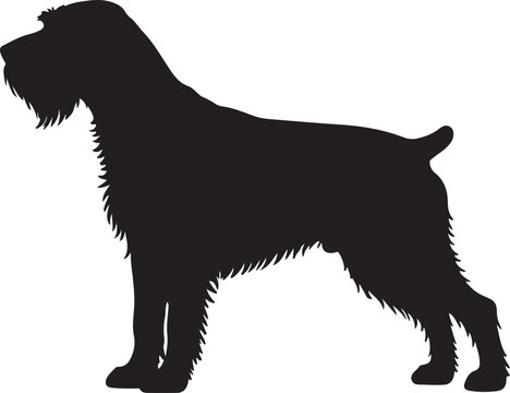 German Wirehaired Pointer dog vector silhouette on white background