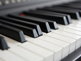 Close-Up View of Black and White Piano Keys on Music Instrument