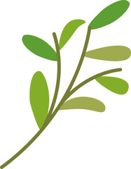 식물,꽃,성탄절,성탄,크리스마스,베리,열매,나뭇잎,나무,나뭇가지,