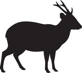 Hairy-fronted Muntjac Vector Silhouette on White Background