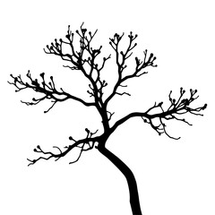 Obraz premium Bare Tree Silhouette: A stark, monochrome illustration depicts a leafless tree, its branches reaching towards the sky, conveying a sense of winter solitude.