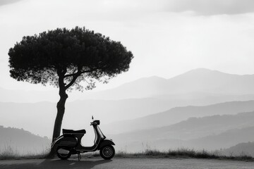 A vintage scooter parked under a tree overlooking rolling hills, captured in a serene black and white landscape with soft lighting.
