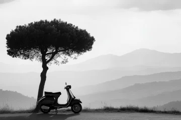  A vintage scooter parked under a tree overlooking rolling hills, captured in a serene black and white landscape with soft lighting. © thimira