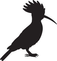 Hoopoe Bird Vector Silhouette on White Background