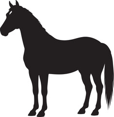 Horse Vector Silhouette on White Background