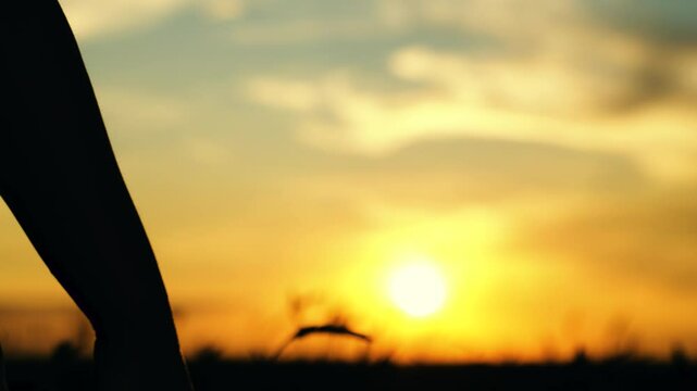 Closeup of guy lets go of girls hand, separation. Separation of hands of man of woman. Family at sunset. Pair of man, woman separate their hands in front of sun. Separation, separation, quarrel.