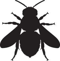 Killer Bee Top View Silhouette Vector