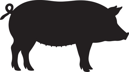 Kune Kune Pig Side View Silhouette Vector