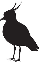 Lapwing Side View Silhouette Vector
