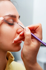 Makeup artist applying make up to a beautiful young pretty girl in a professional salon. Beauty,...