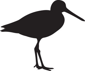 Long-billed Dowitcher Side View Silhouette Vector