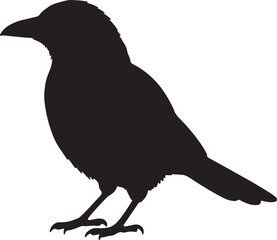 Magpie Side View Silhouette Vector