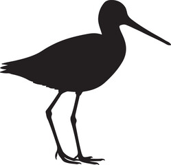 Marbled Godwit bird vector silhouette on white background