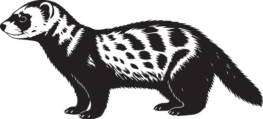 Marbled Polecat side view vector silhouette on white background