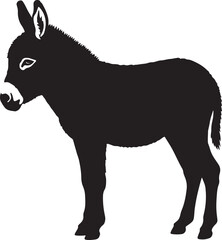 Miniature Donkey vector silhouette on white background
