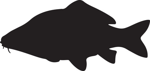 Mirror Carp fish vector silhouette on white background