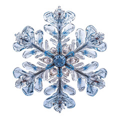 Macro photography of a snowflake crystal winter season holiday background on transparent background
