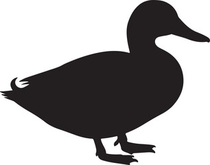 NORTHERN SHOVELER SILHOUETTE