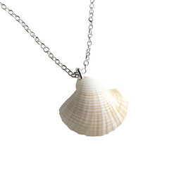 Trendy Minimalist Shell Necklace Featuring One Large Isolated on Transparent Background