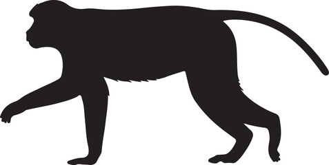 Patas Monkey Side View Silhouette Vector
