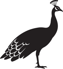 Peacock Side View Silhouette Vector