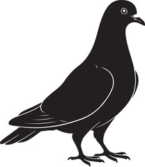 Pigeon Side View Silhouette Vector