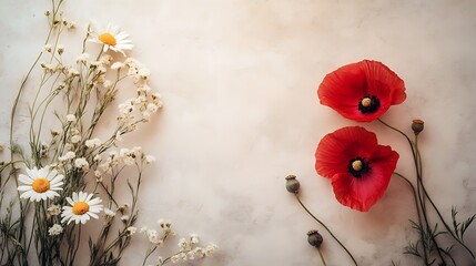 Photograph of wildflowersâ€”red poppies and white daisiesâ€”on a textured, neutral background.