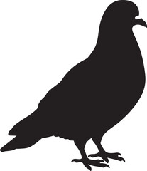Rock Pigeon Silhouette Vector