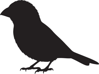 Rose-breasted Grosbeak Silhouette Vector