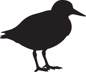 Ruddy Turnstone Silhouette Vector