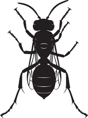 Sand Wasps Top View Silhouette Vector