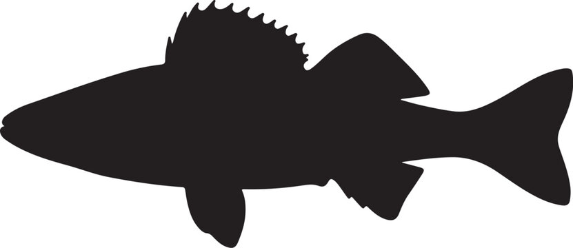 Sauger Silhouette Vector