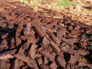 Turf briquets drying up on a sun. Traditional burning fuel in Ireland gathered in pea bogs.