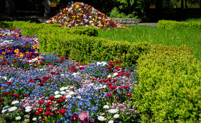 Lawns and flowerbeds in Oliwa Park in Gdansk	
