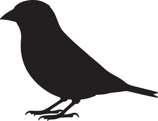 Siskin Silhouette Vector