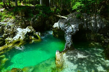Naklejka premium Mostnica stream flowing next to Slonček rock formation at Korita Mostnice in Gorenjska, Slovenia