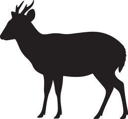 Southern Red Muntjac Silhouette Vector