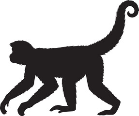 Spider Monkey Silhouette Vector