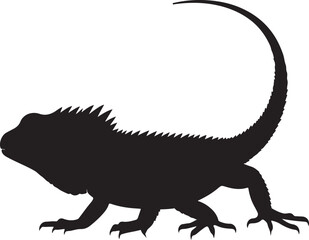 Spiny-Tailed Lizard Silhouette Vector
