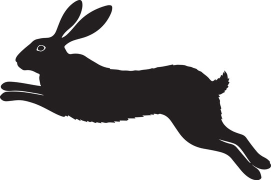 Springhare Side View Silhouette Vector