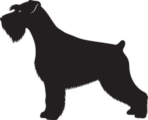 Standard Schnauzer Silhouette Vector