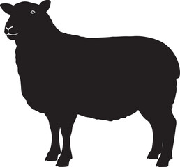 Suffolk Sheep Silhouette