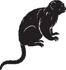Tamarin Silhouette