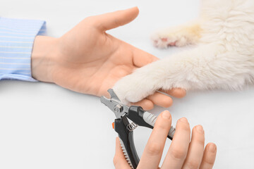 Female hands trimming fluffy cat's claws on bed, closeup