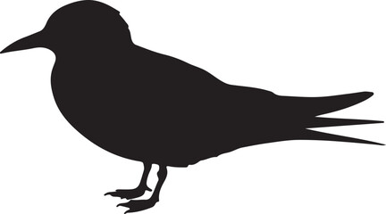 Tern Silhouette
