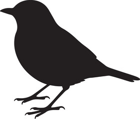 Thrush Silhouette