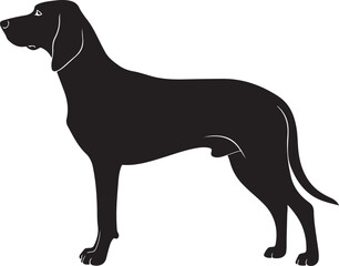 Transylvanian Hound Silhouette